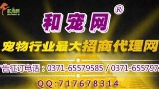 宠物食品行业新浪潮 线上招商代理与网络销售一体化趋势探析